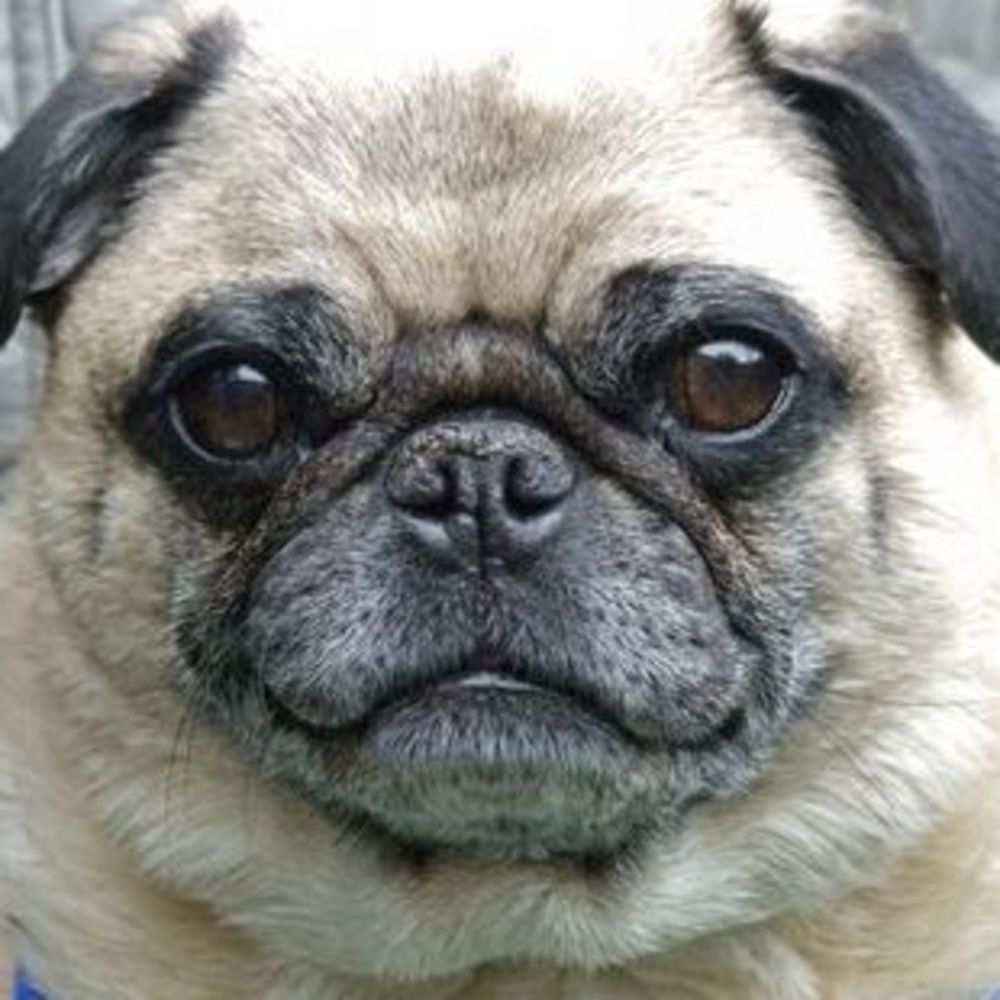 Meet your Posher, Kristine